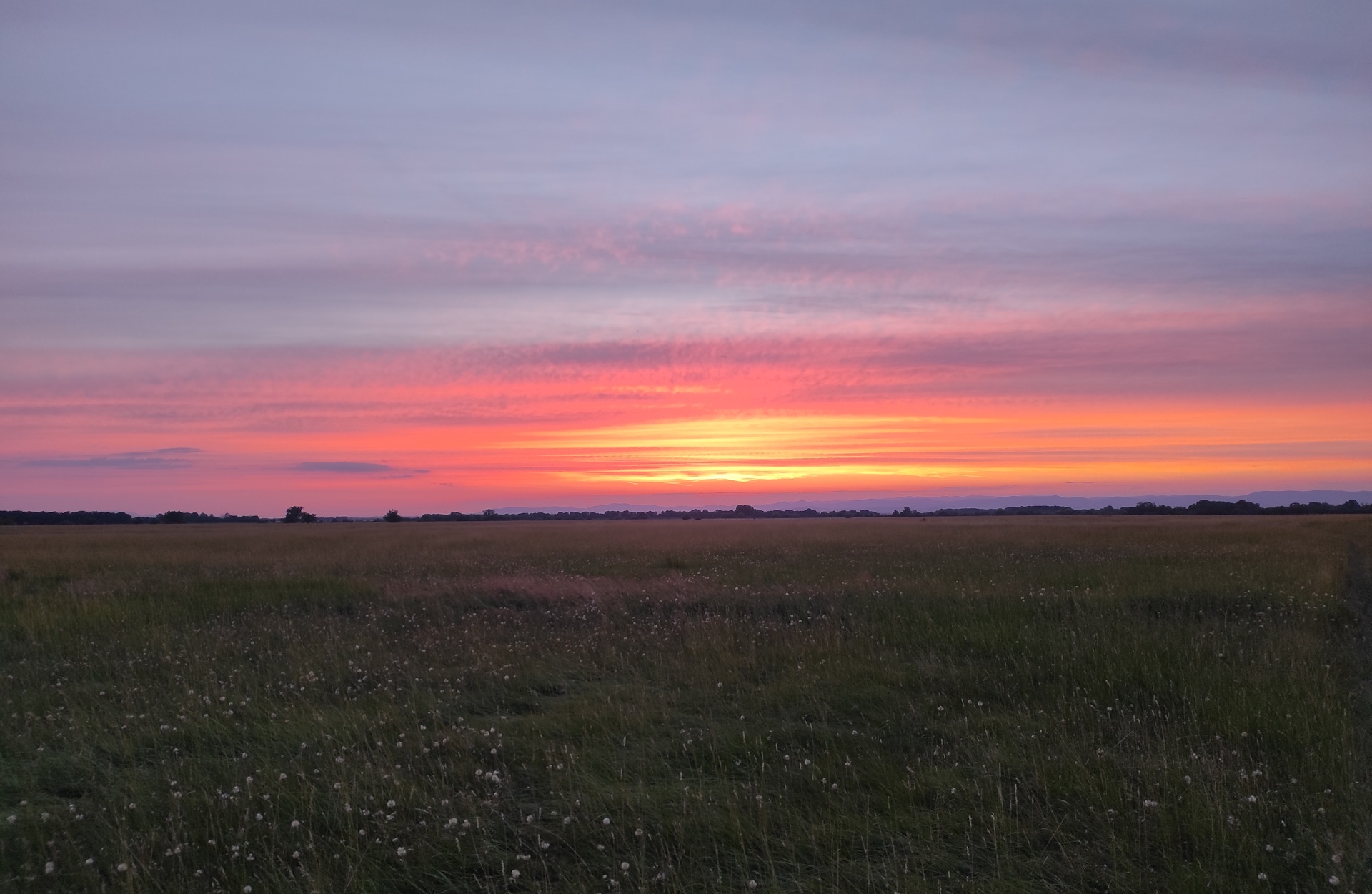 35. kép Naplemente a pusztában.jpg